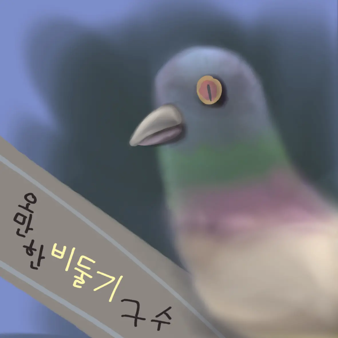 비둘기 구수
